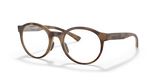 Satin Brown Tortoise / Demo Lens (817602)