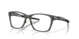 Satin Grey Smoke / Demo Lens (819602)