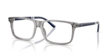 Shiny Transparent Grey / Demo Lens (6318)