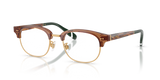 Shiny Transparent Brown / Demo Lens (6321)