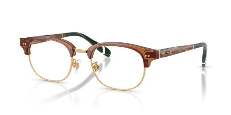 Polo Ralph Lauren PH2298D in Shiny Transparent Brown - Alternate View