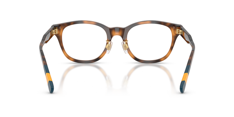 Polo Ralph Lauren PH2303F in Shiny Dark Havana - Alternate View