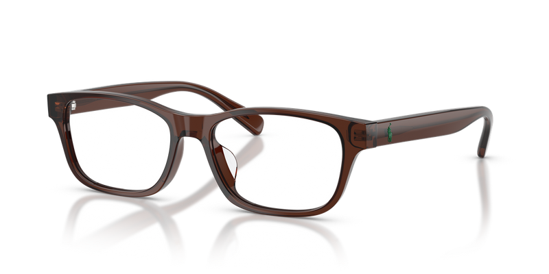 Polo Ralph Lauren PH2306D in Shiny Transparent Brown / Demo Lens (6282) - Alternate View
