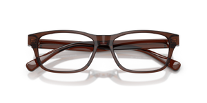 Shiny Transparent Brown / Demo Lens (6282)