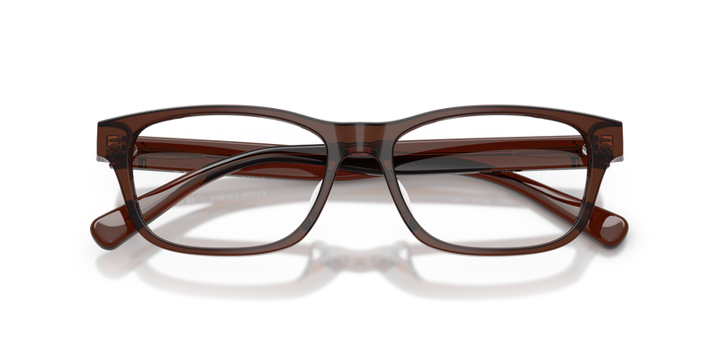 Polo Ralph Lauren PH2306D in Shiny Transparent Brown / Demo Lens (6282) - Alternate View