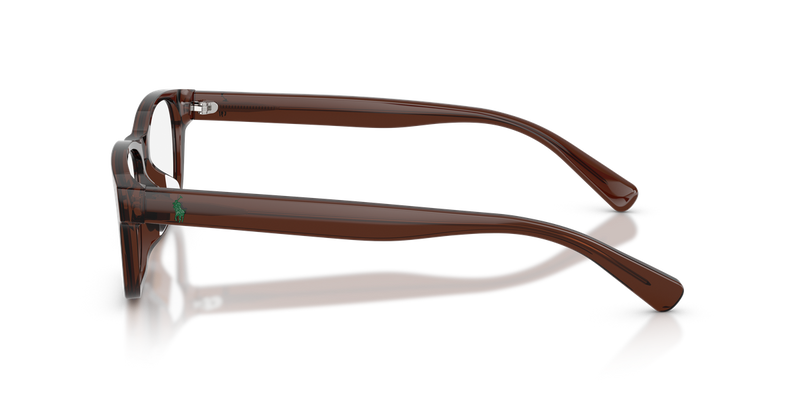 Polo Ralph Lauren PH2306D in Shiny Transparent Brown / Demo Lens (6282) - Alternate View