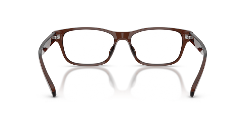 Polo Ralph Lauren PH2306D in Shiny Transparent Brown / Demo Lens (6282) - Alternate View