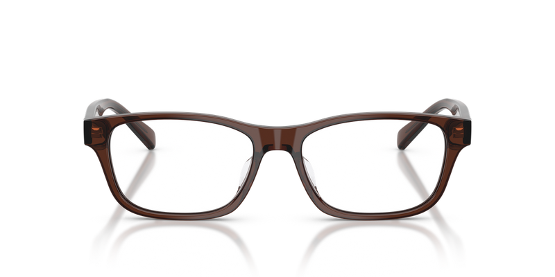 Polo Ralph Lauren PH2306D in Shiny Transparent Brown / Demo Lens (6282) - Alternate View