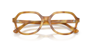 Shiny Honey Tortoise / Demo Lens Recycled (6185)