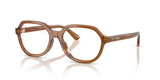 Shiny Transparent Brown / Demo Lens Recycled (6371)