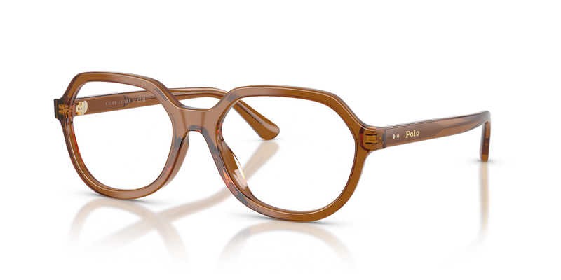 Polo Ralph Lauren PH2310U in Shiny Transparent Brown - Alternate View