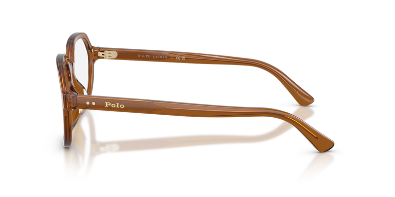 Polo Ralph Lauren PH2310U in Shiny Transparent Brown - Alternate View