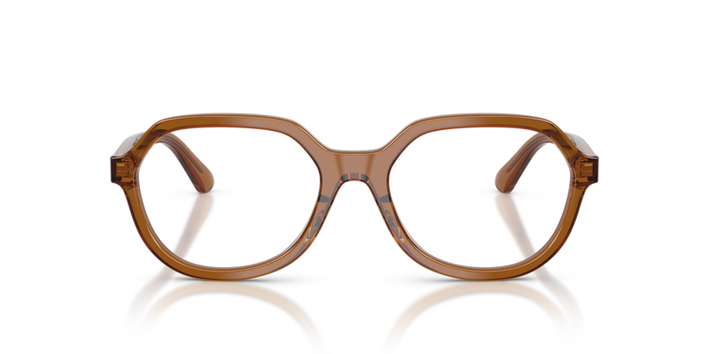Polo Ralph Lauren PH2310U in Shiny Transparent Brown - Alternate View