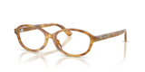 Shiny Honey Tortoise / Demo Lens Recycled (6185)