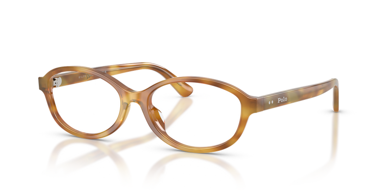 Polo Ralph Lauren PH2311U in Shiny Honey Tortoise - Alternate View