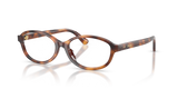 Shiny Tortoise / Demo Lens Recycled (6355)