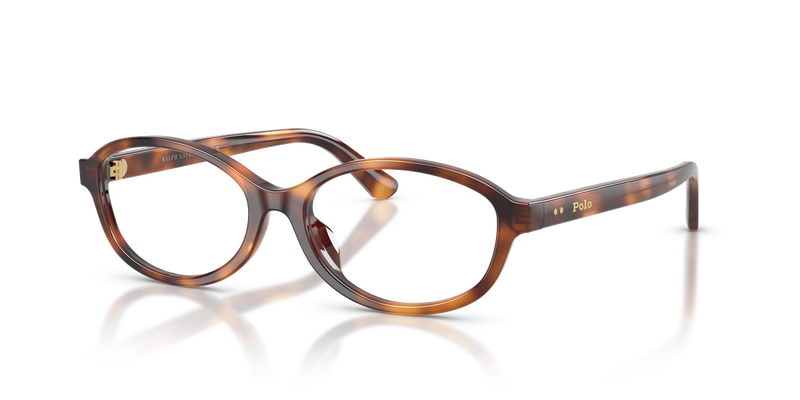 Polo Ralph Lauren PH2311U in Shiny Tortoise - Alternate View