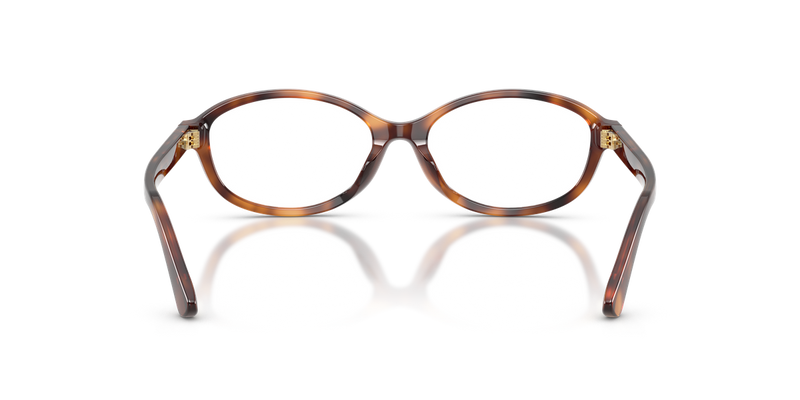 Polo Ralph Lauren PH2311U in Shiny Tortoise - Alternate View