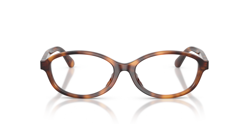 Polo Ralph Lauren PH2311U in Shiny Tortoise - Alternate View