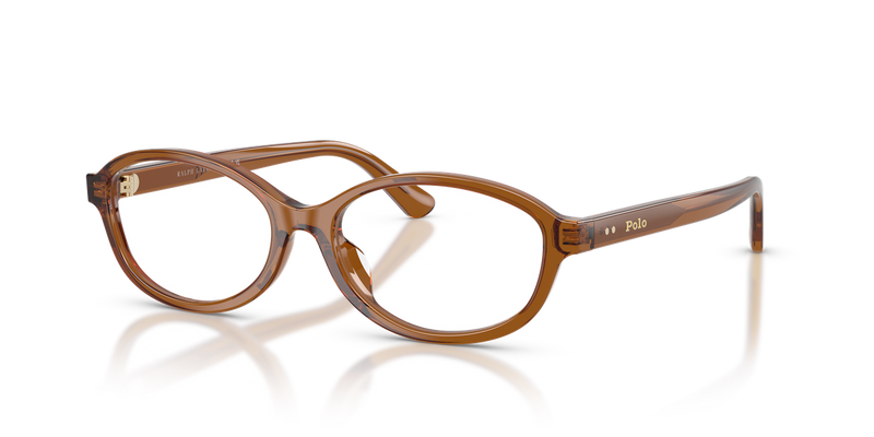 Polo Ralph Lauren PH2311U in Shiny Transparent Brown - Alternate View