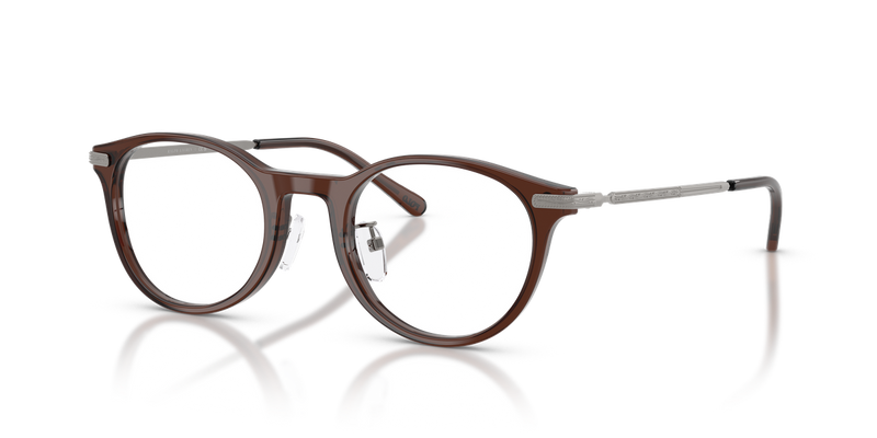 Polo Ralph Lauren PH2313D in Shiny Transparent Brown - Alternate View