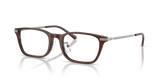 Shiny Transparent Brown / Demo Lens (6282)