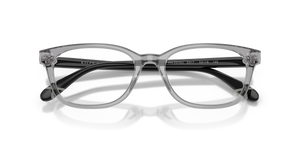 Shiny Transparent Grey / Demo Lens (6317)