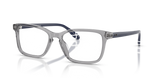 Shiny Transparent Grey / Demo Lens (6317)