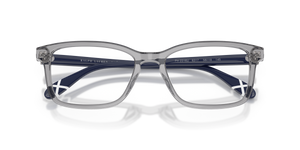 Shiny Transparent Grey / Demo Lens (6317)
