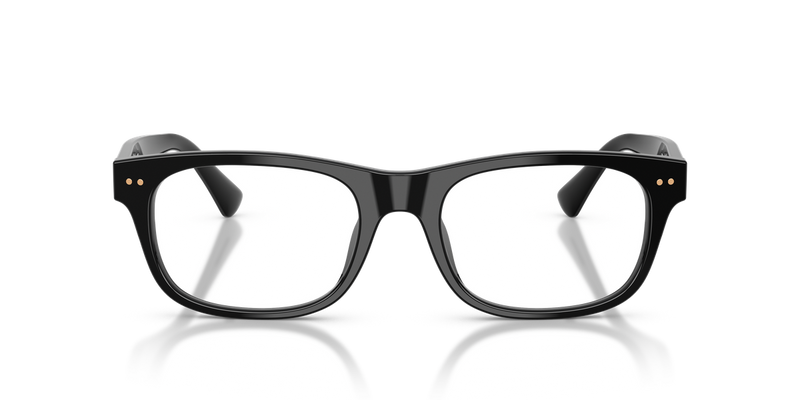 Polo Ralph Lauren PH2317F in Shiny Black - Alternate View