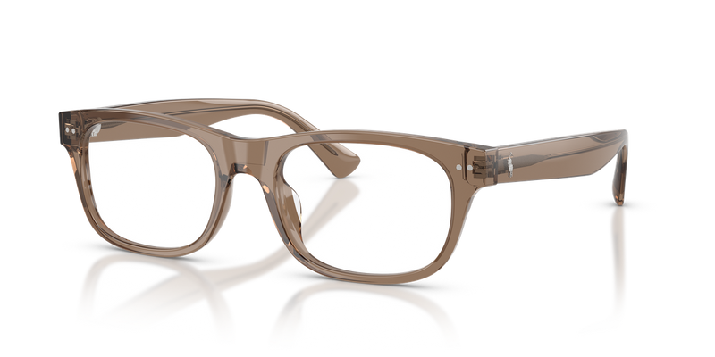 Polo Ralph Lauren PH2317F in Shiny Transparent Brown Taupe - Alternate View