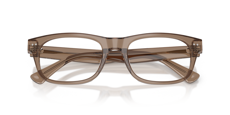 Polo Ralph Lauren PH2317F in Shiny Transparent Brown Taupe - Alternate View