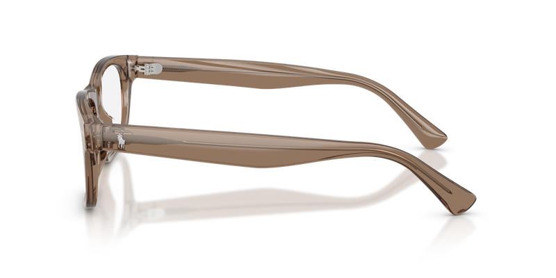 Polo Ralph Lauren PH2317F in Shiny Transparent Brown Taupe - Alternate View