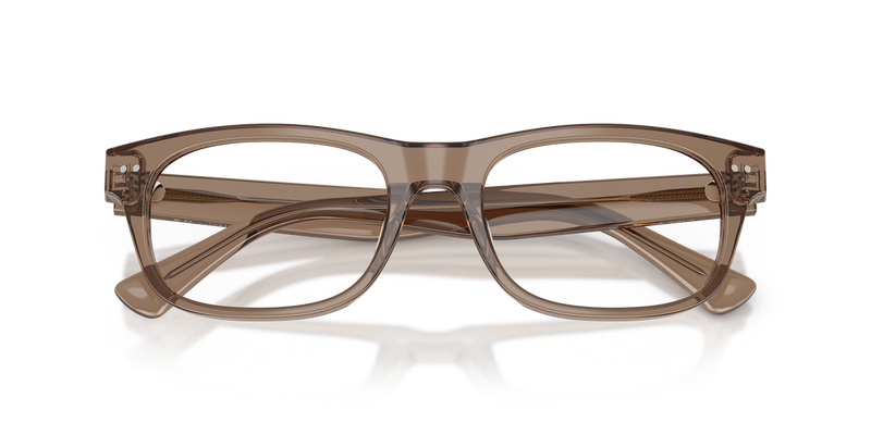 Polo Ralph Lauren PH2317U in Shiny Transparent Brown Taupe - Alternate View