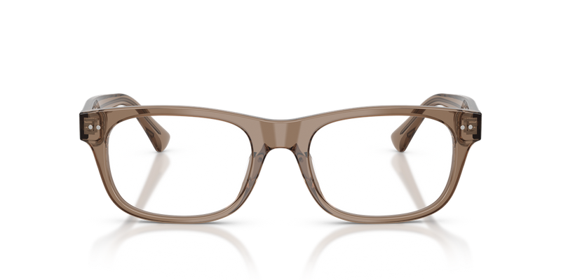 Polo Ralph Lauren PH2317U in Shiny Transparent Brown Taupe - Alternate View