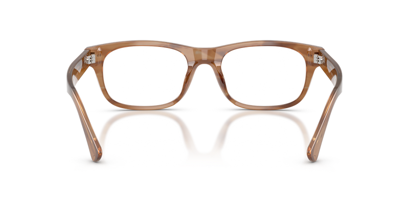 Polo Ralph Lauren PH2317U in Shiny Tortoise - Alternate View
