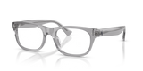 Shiny Transparent Grey / Demo Lens (6317)