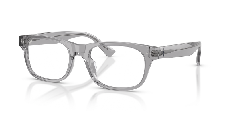 Polo Ralph Lauren PH2317U in Shiny Transparent Grey - Alternate View