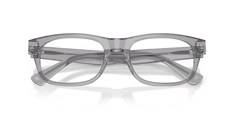 Polo Ralph Lauren PH2317U in Shiny Transparent Grey - Alternate View
