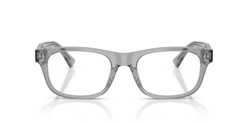 Polo Ralph Lauren PH2317U in Shiny Transparent Grey - Alternate View