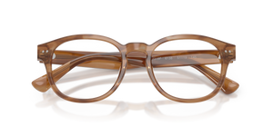 Shiny Tortoise / Demo Lens (6138)