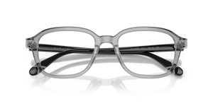 Shiny Transparent Grey / Demo Lens (6317)