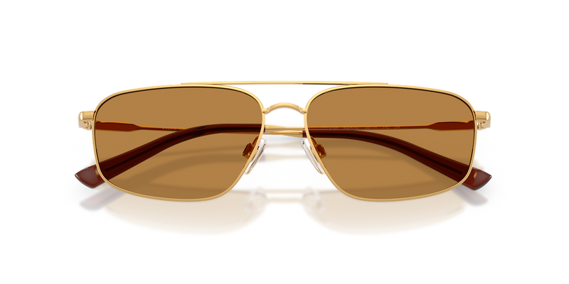 Polo Ralph Lauren PH3164 in Shiny Brass - Alternate View