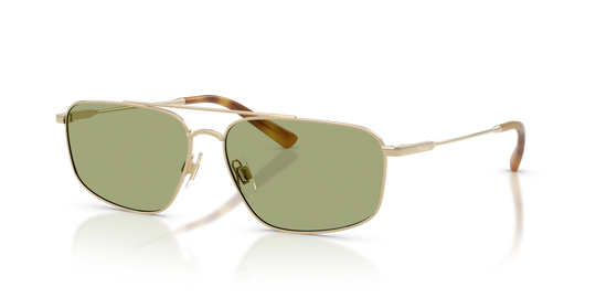Polo Ralph Lauren PH3164 - Shiny Pale Gold / Green (942582)