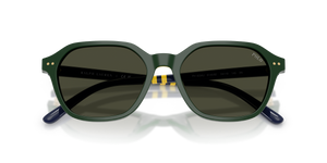 Shiny Green / Brown (614082)
