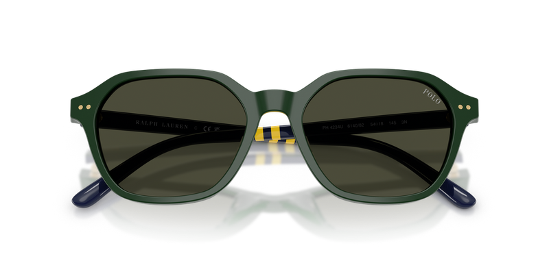 Polo Ralph Lauren PH4234U in Shiny Green / Brown (614082) - Alternate View