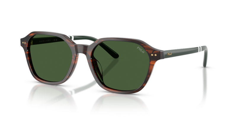 Polo Ralph Lauren PH4234U in Shiny Striped Brown / Bottle Green (631571) - Alternate View