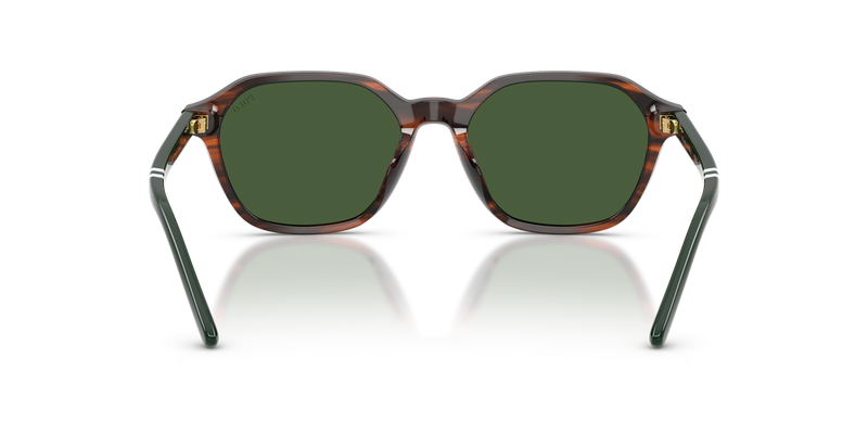 Polo Ralph Lauren PH4234U in Shiny Striped Brown / Bottle Green (631571) - Alternate View