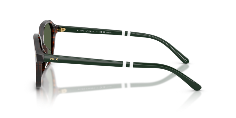 Polo Ralph Lauren PH4234U in Shiny Havana / Polarized Green (63159A) - Alternate View