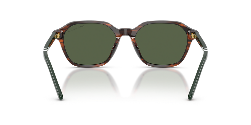 Polo Ralph Lauren PH4234U in Shiny Havana / Polarized Green (63159A) - Alternate View
